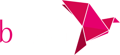 Bkash Logo Mega Cricket World